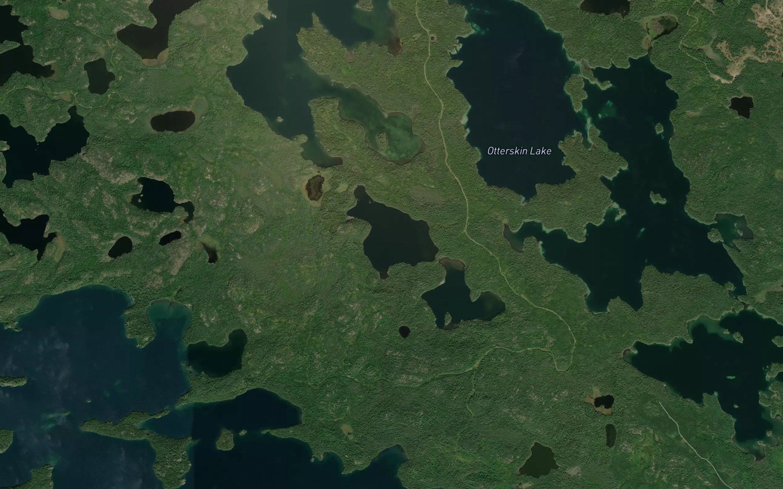 Bass Lake