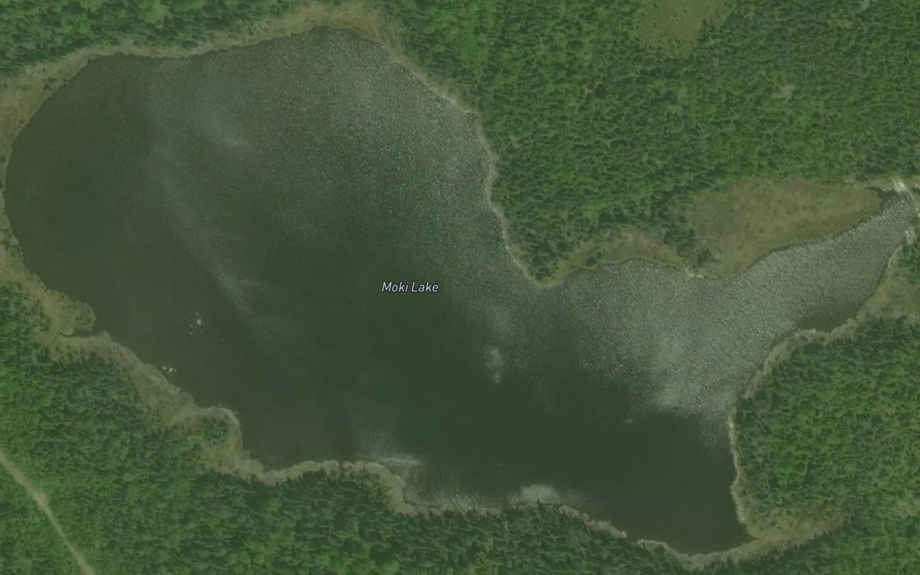 Satellite map of the Moki Lake