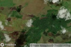 Morichal de Las Delicias