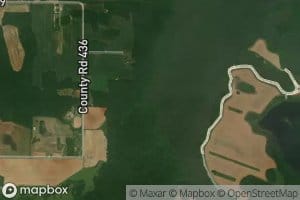 Fox Creek