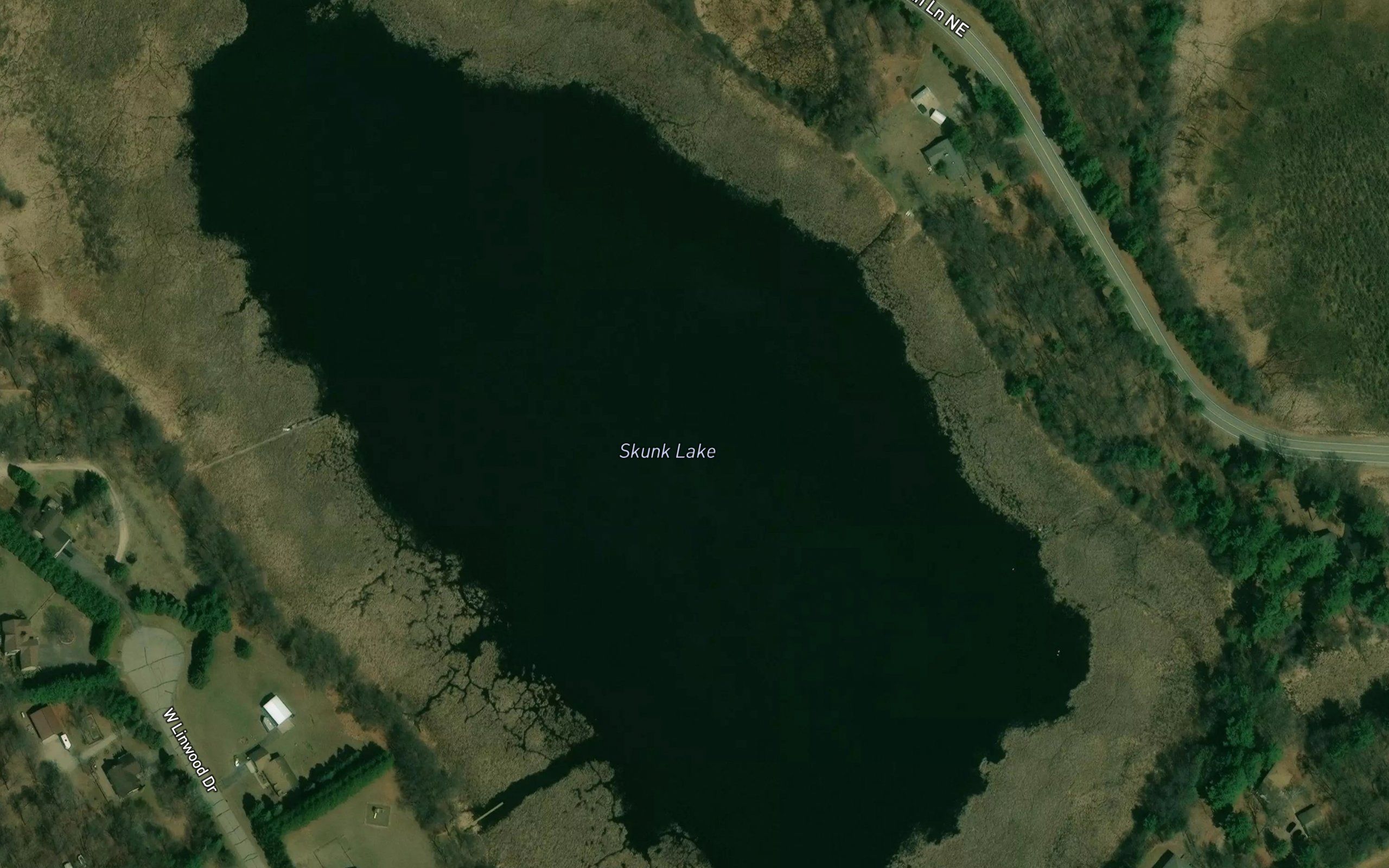 Skunk Lake