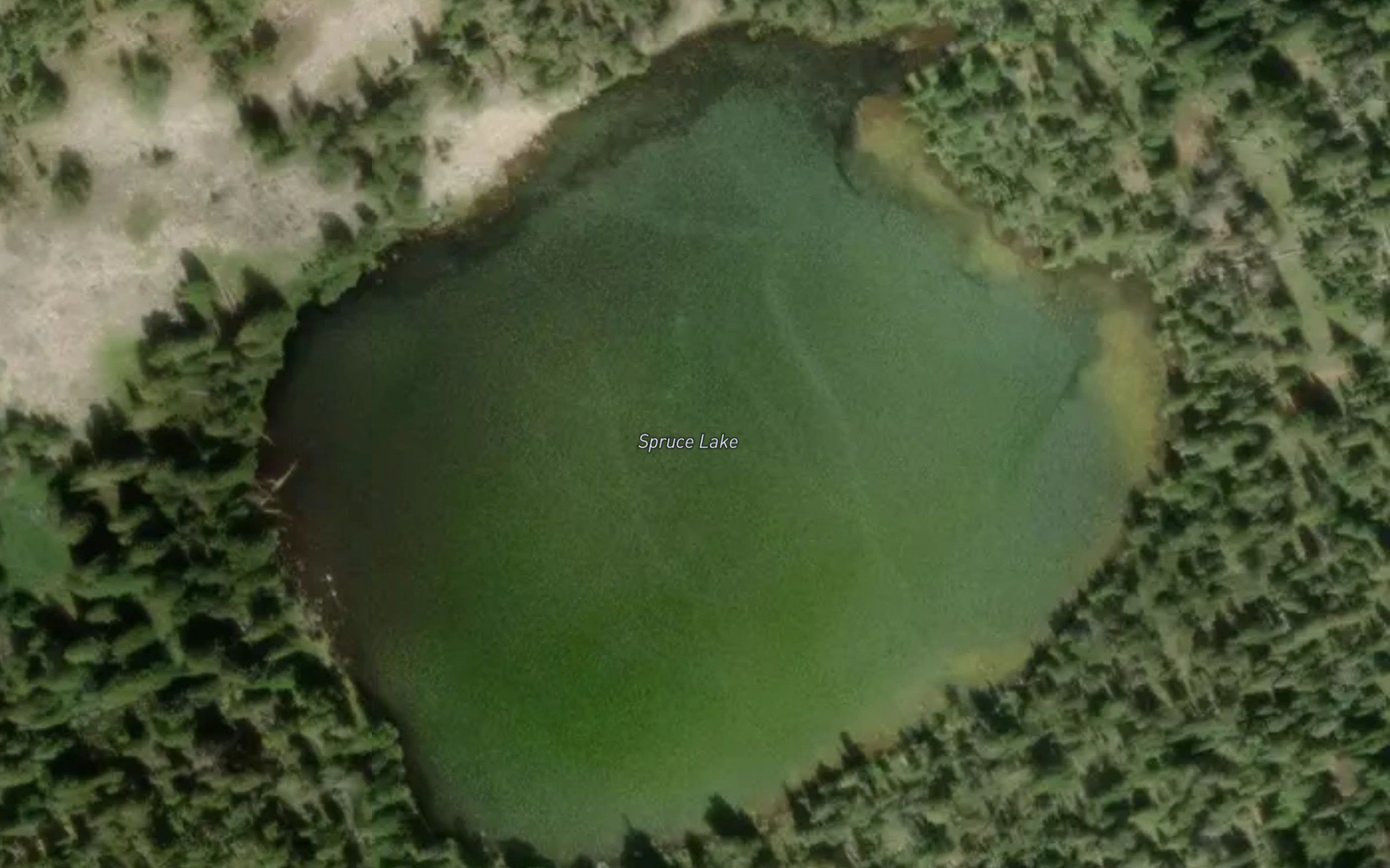 Spruce Lake