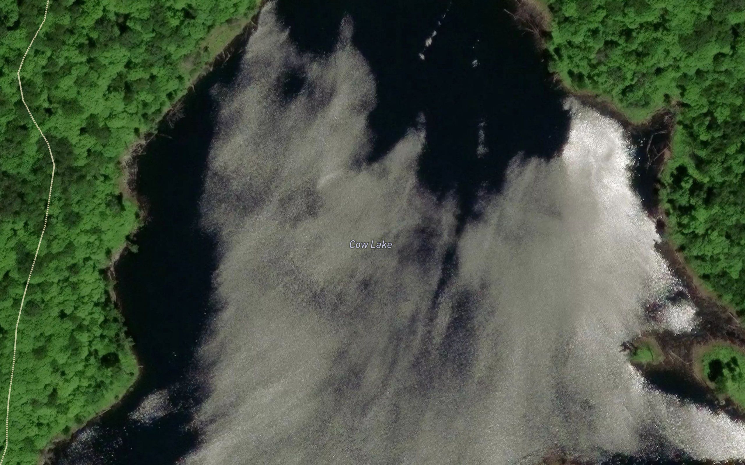 Cow Lake