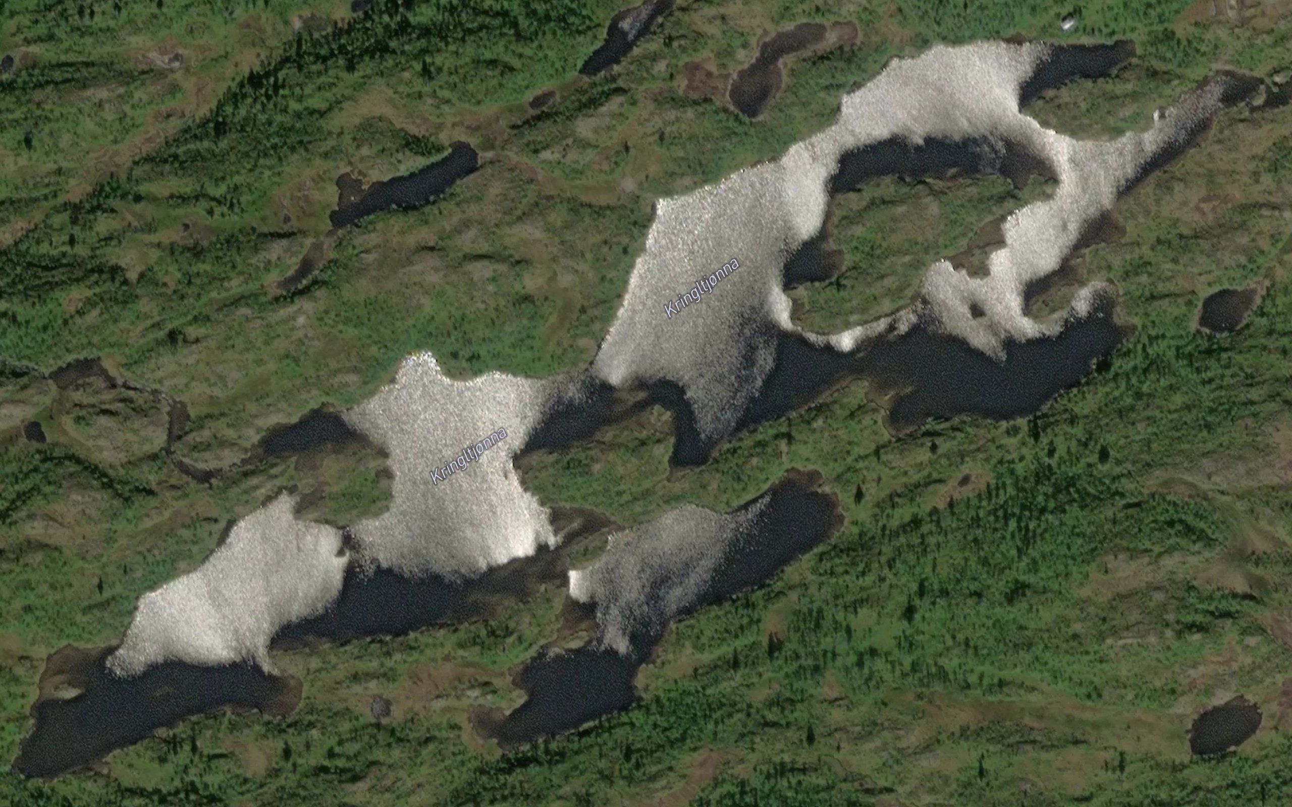 Kringletjorna