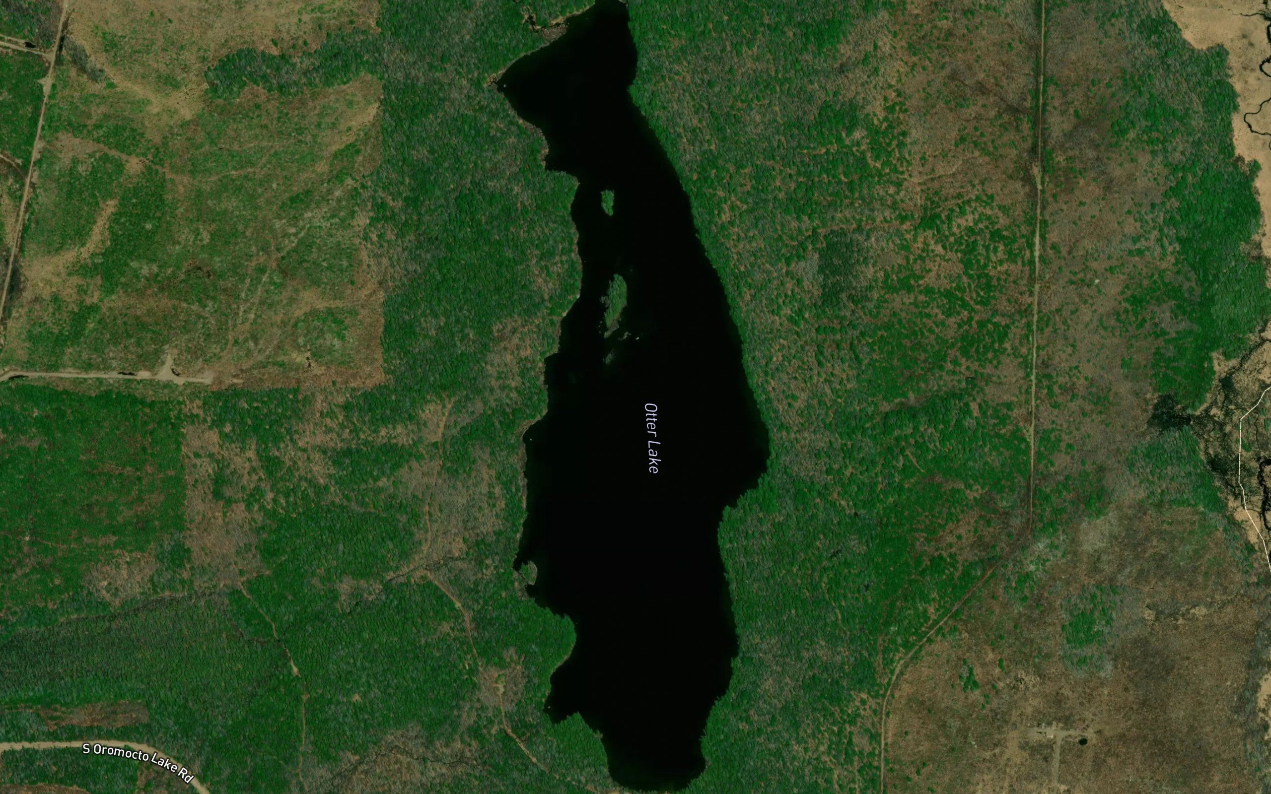 Otter Lake