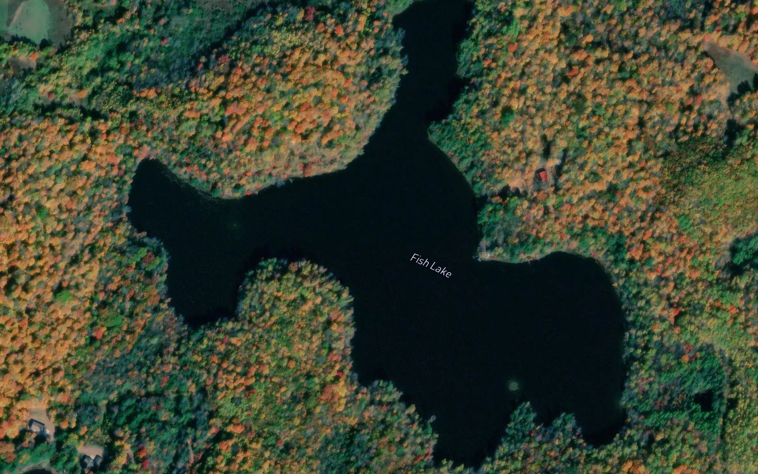 Fish Lake