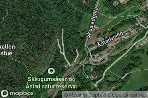 Astaddammen