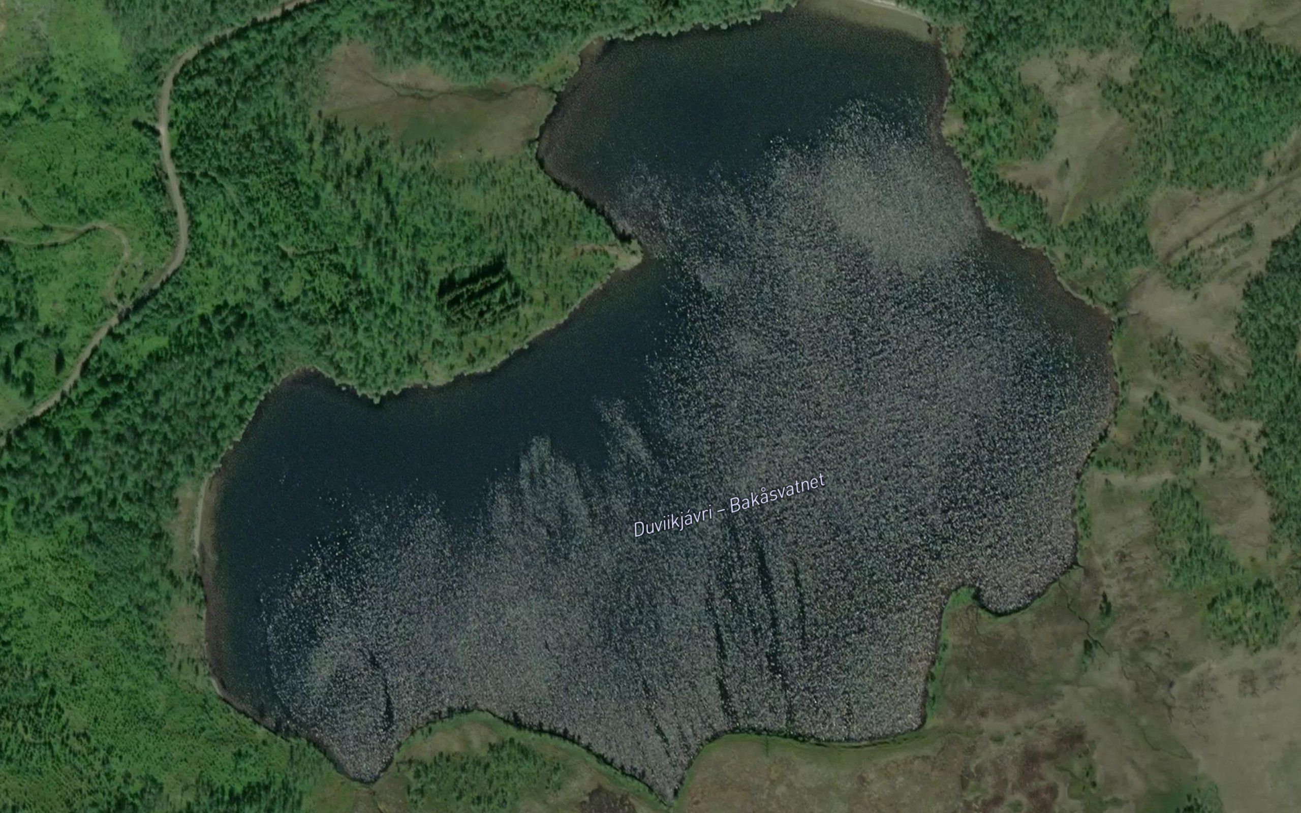 Bakasvatnet