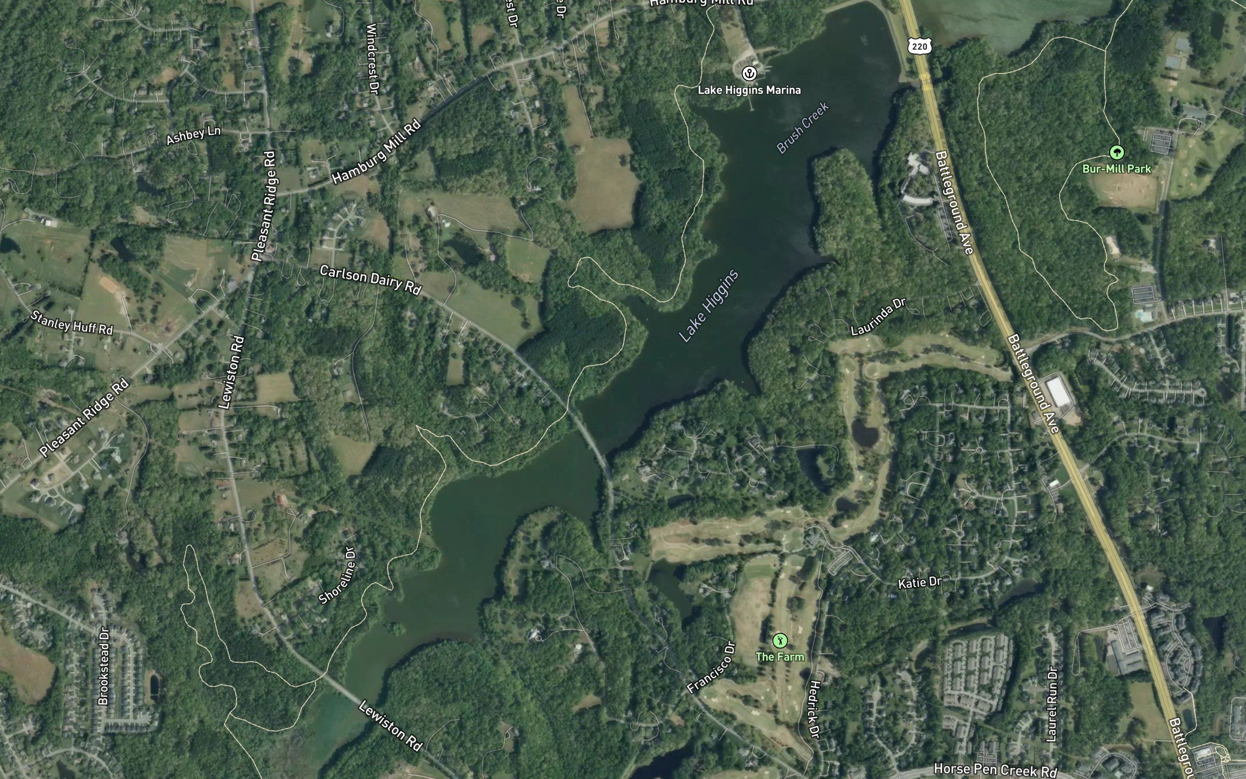 Lake Higgins