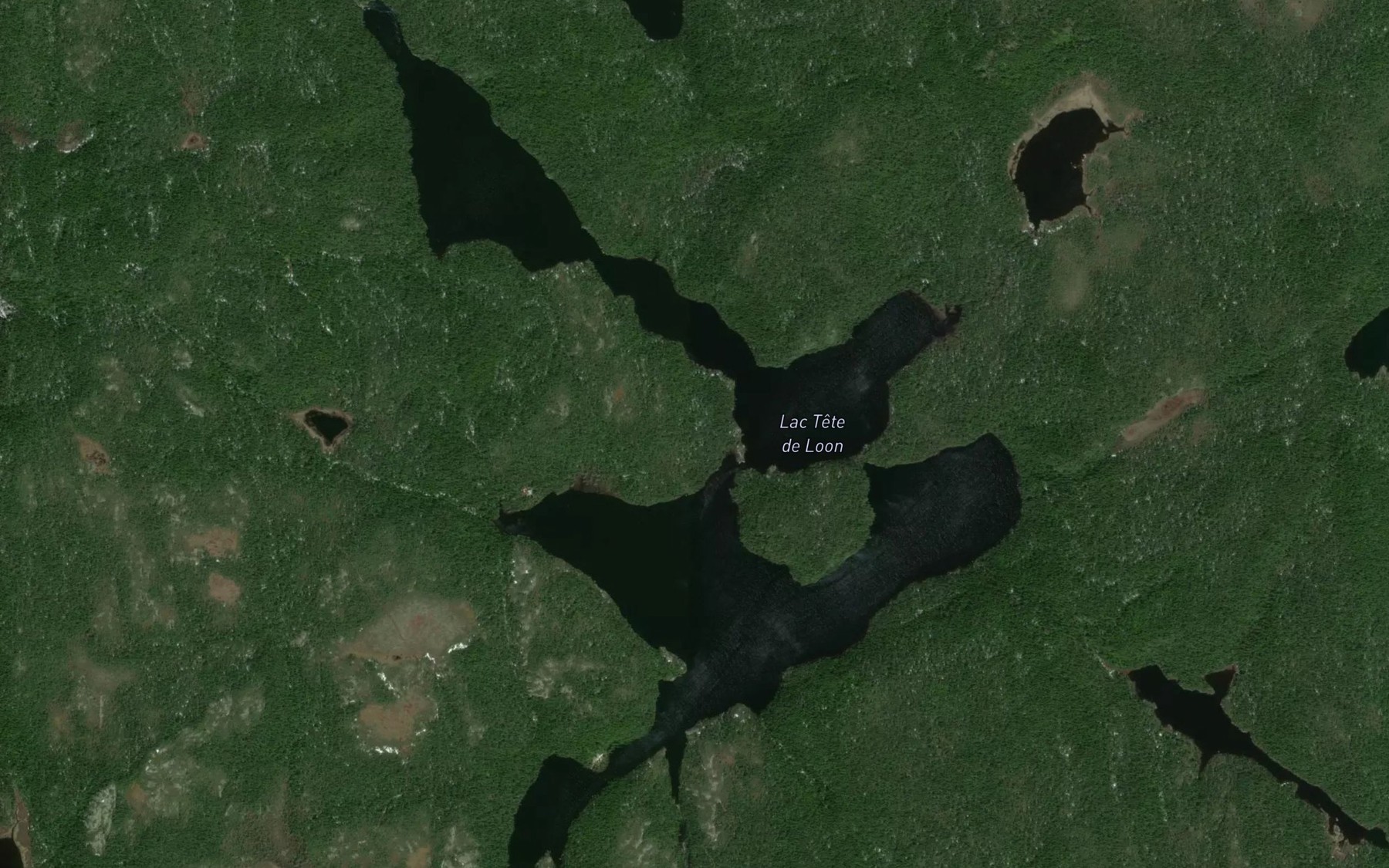 Satellite map of the Lac Tete de Loon