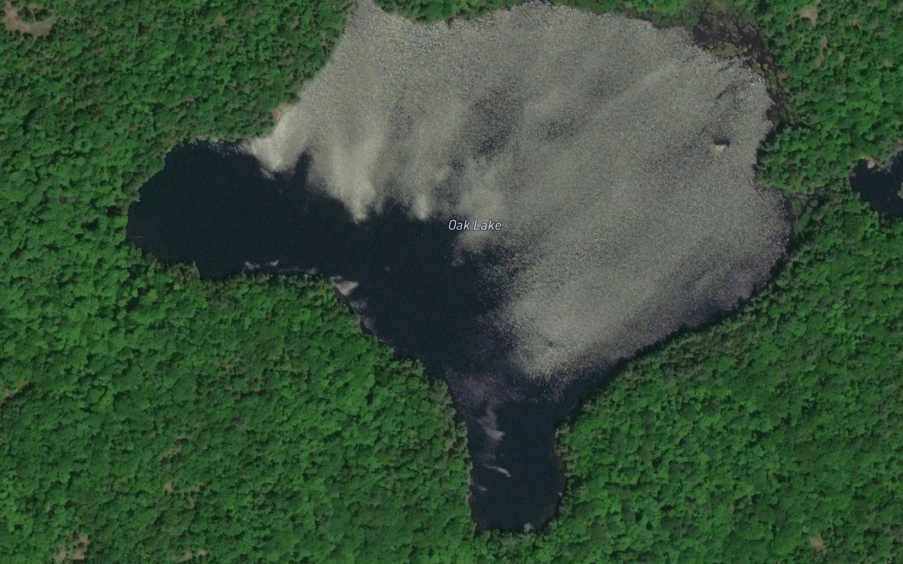 Satellite map of the Oak Lake