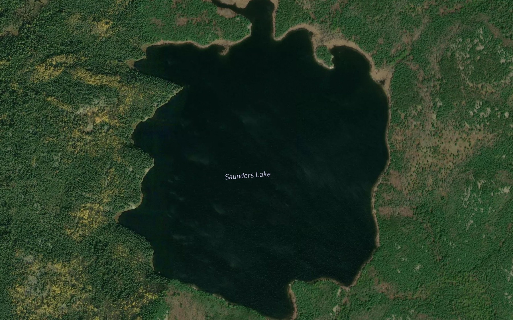 Satellite map of the Saunders Lake