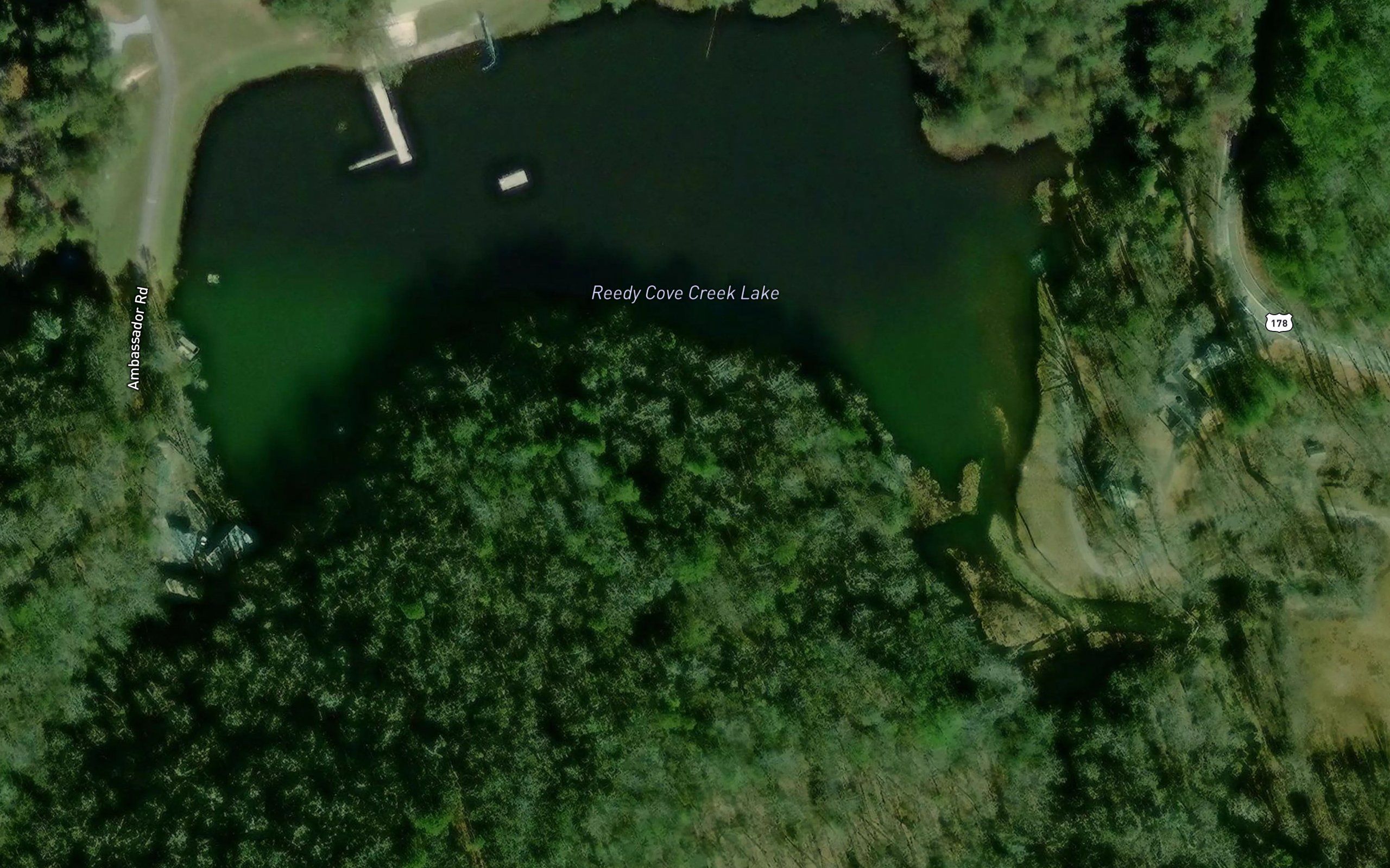 Reedy Cove Creek Lake