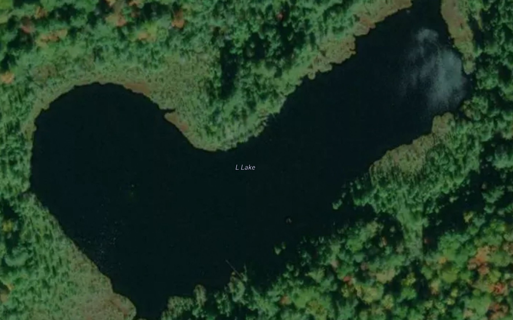 Satellite map of the L Lake