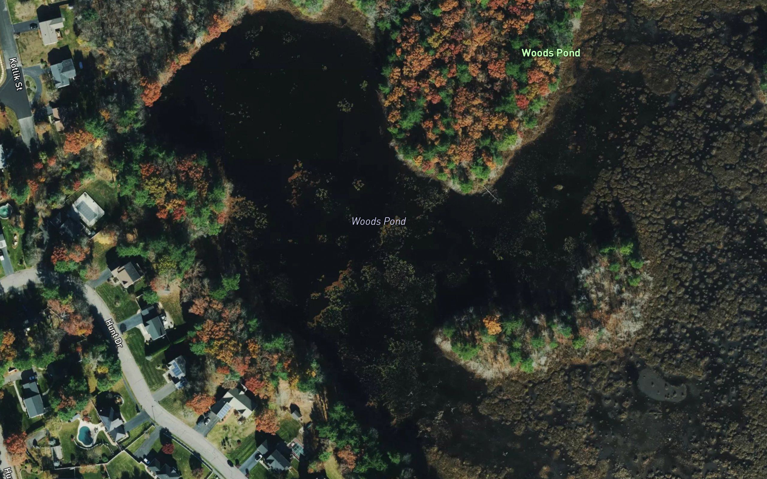 Woods Pond