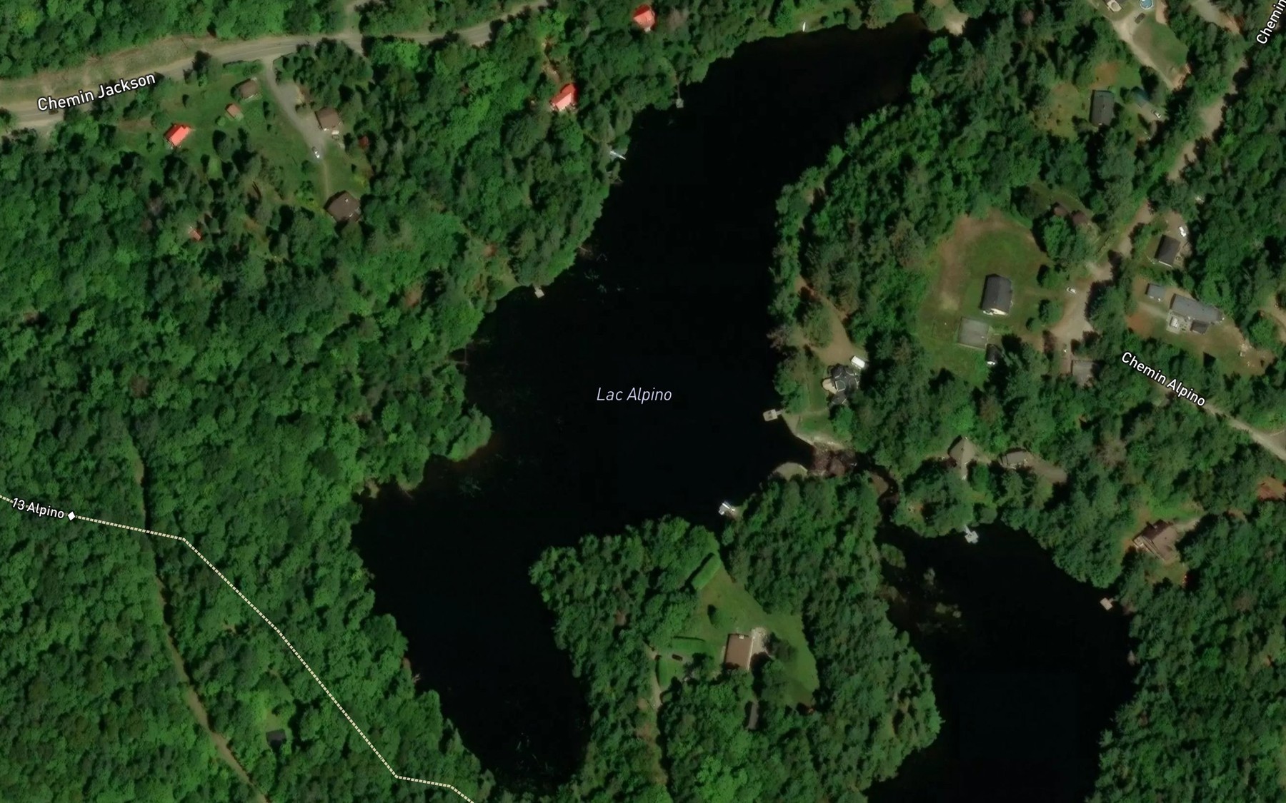 Satellite map of the Lac Alpino