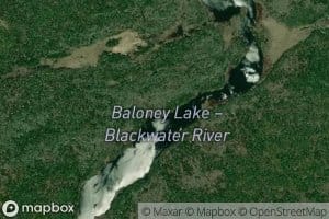 Baloney Lake