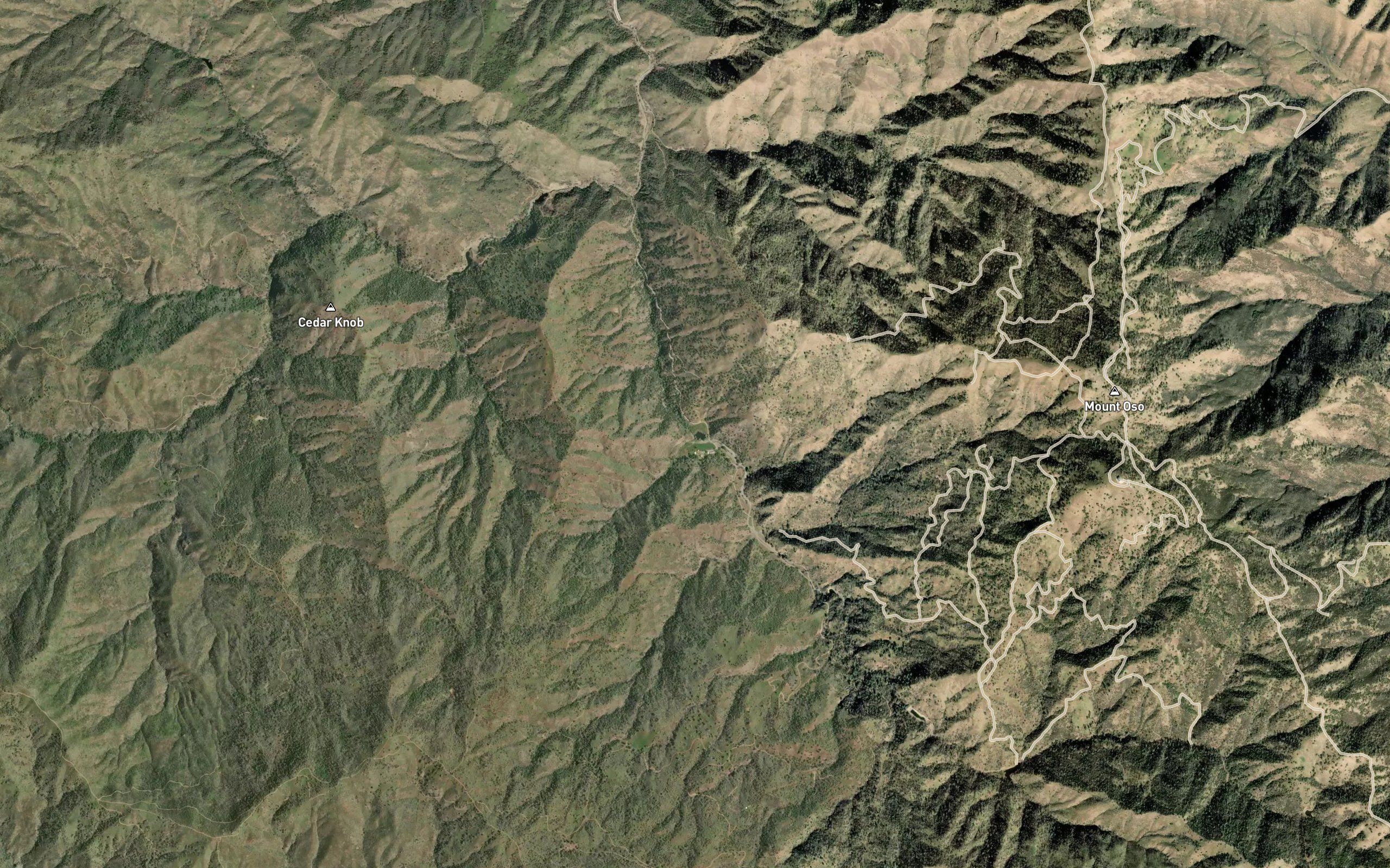 Willow Springs