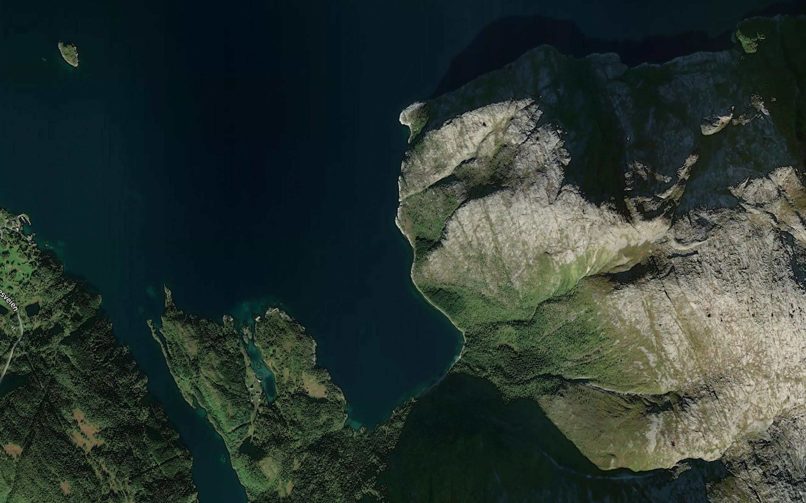 Tavika
