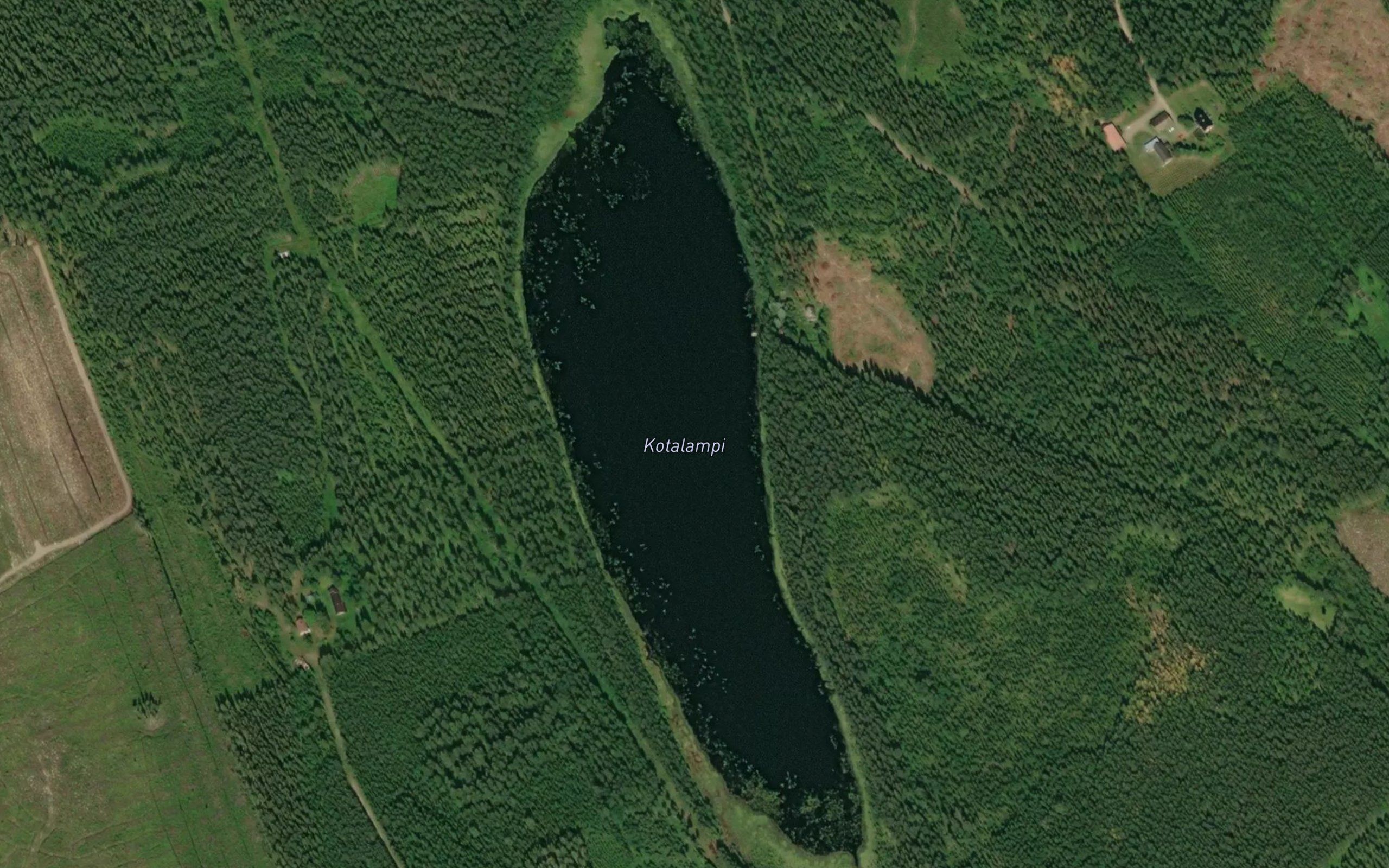 Kotalampi
