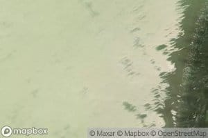 Laguna del Caimanero