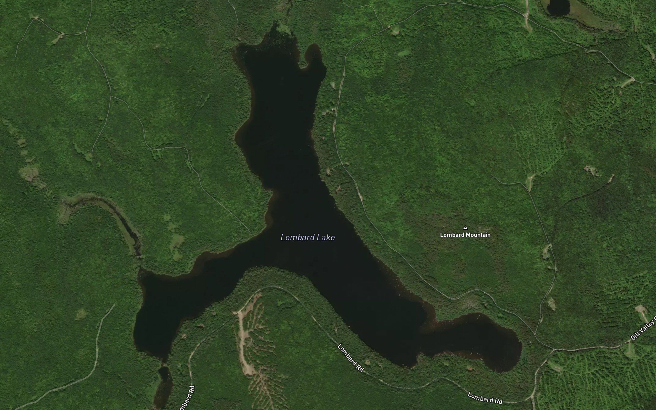 Lombard Lake