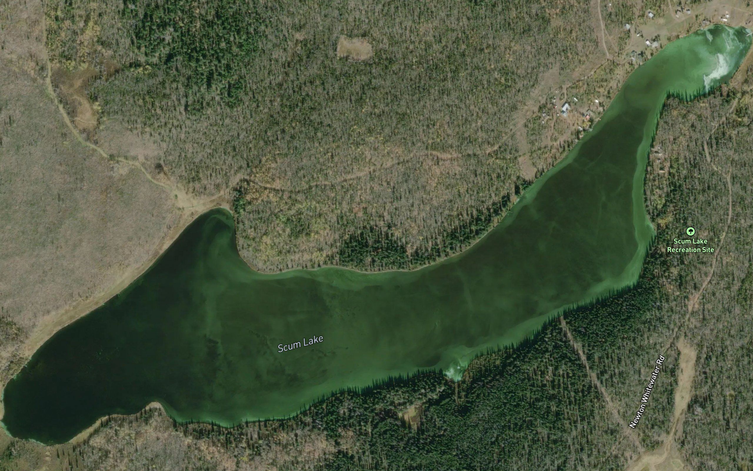 Scum Lake