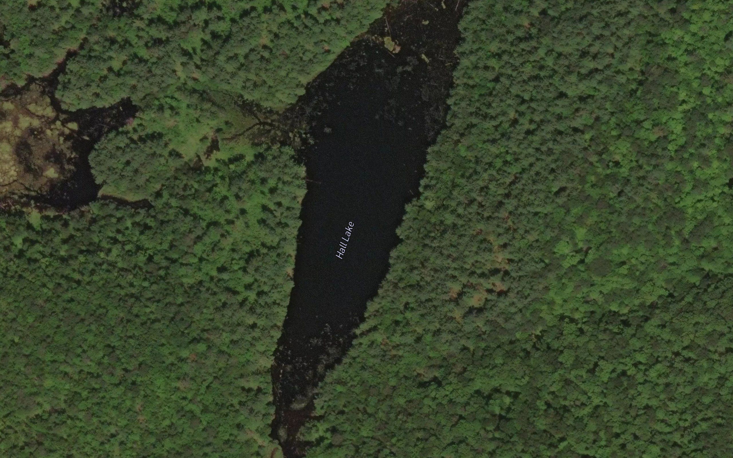Hall Lake