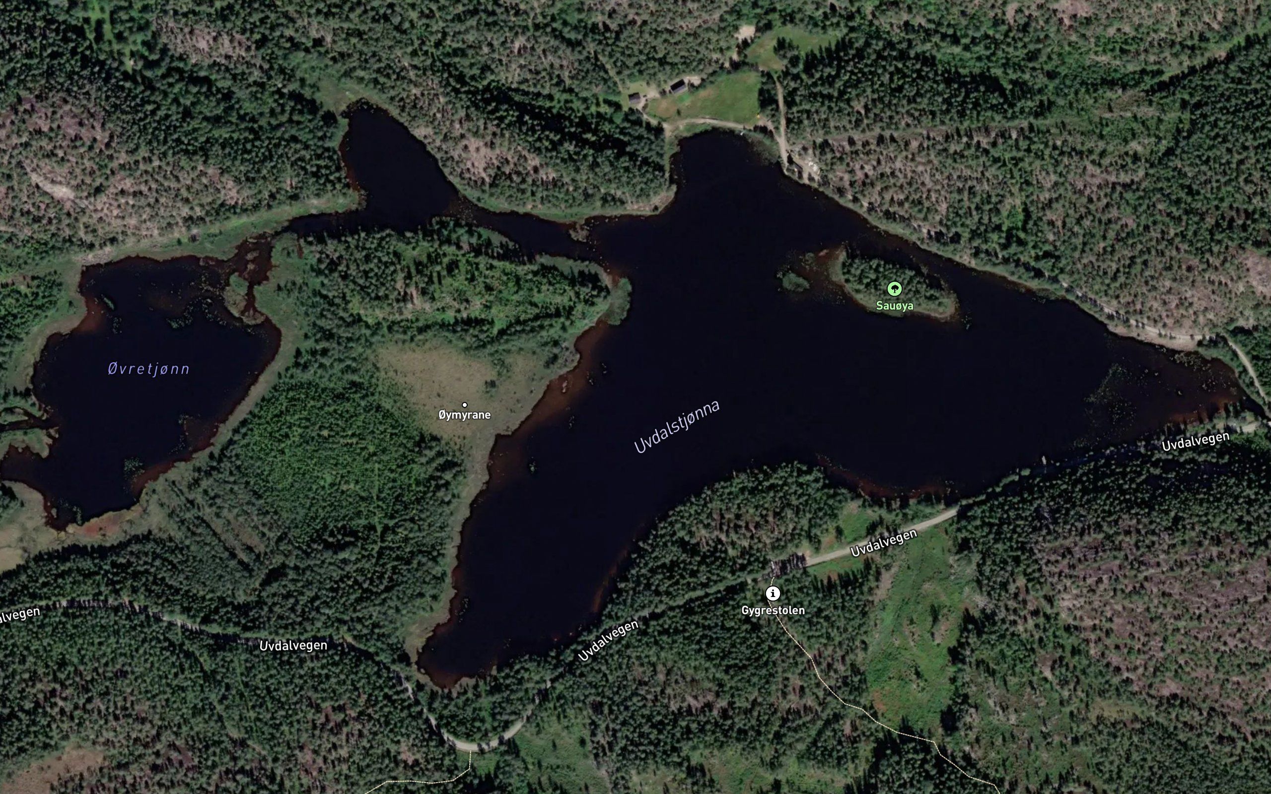 Uvdalstjorna