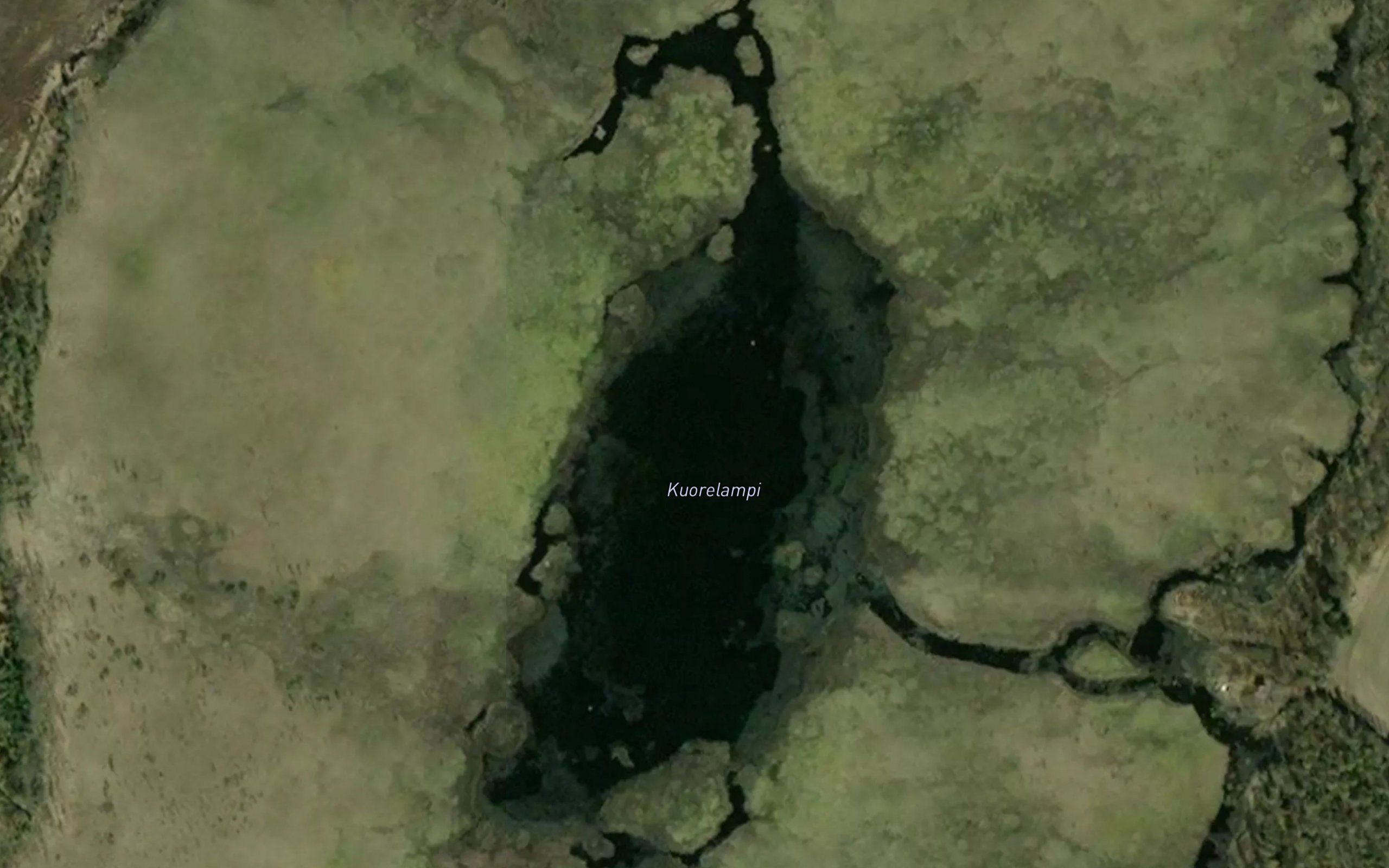 Kuorelampi