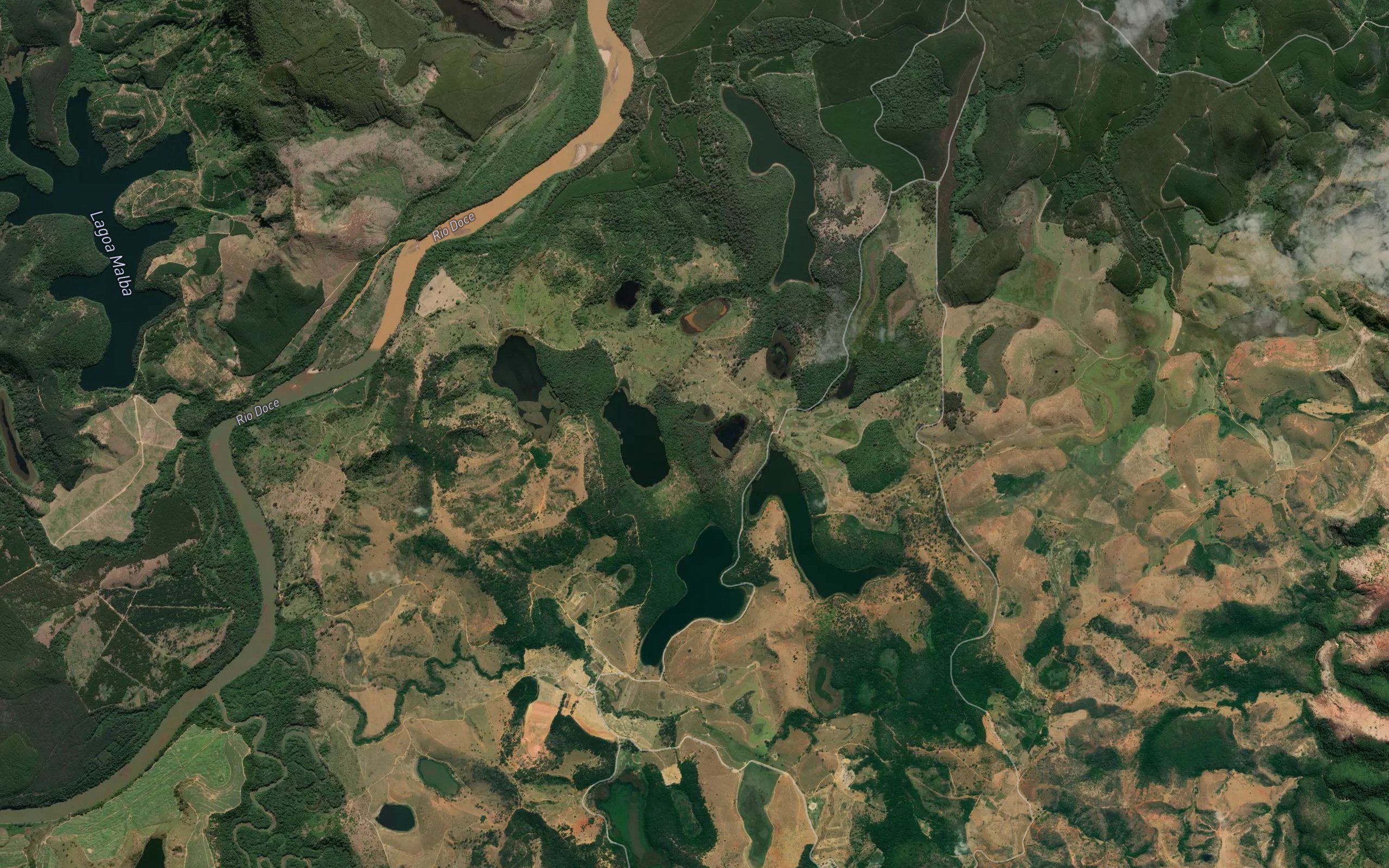 Lagoa das Palmeiras