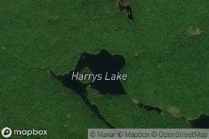 Harrys Lake