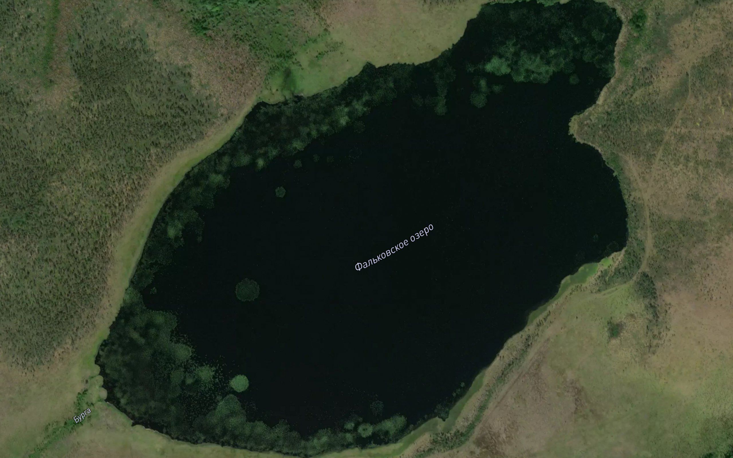 Fal'kovskoye Ozero