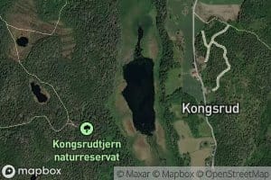 Kongsrudtjernet