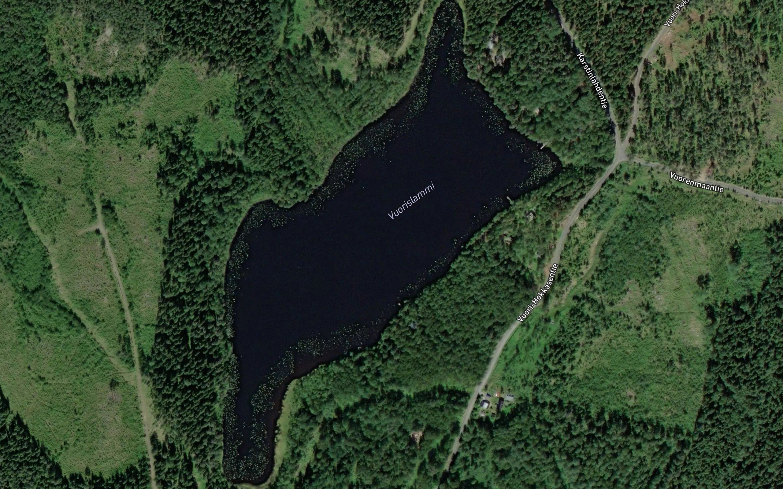 Vuorislammi
