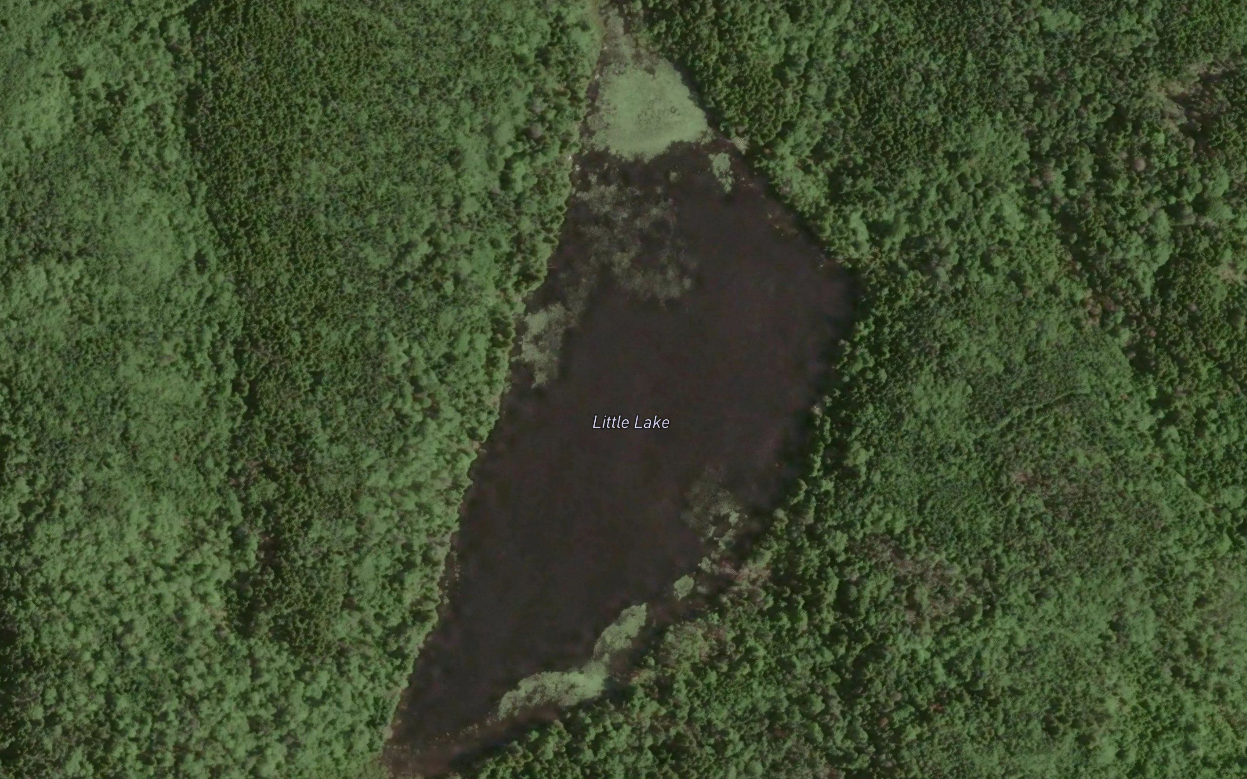 Little Lake