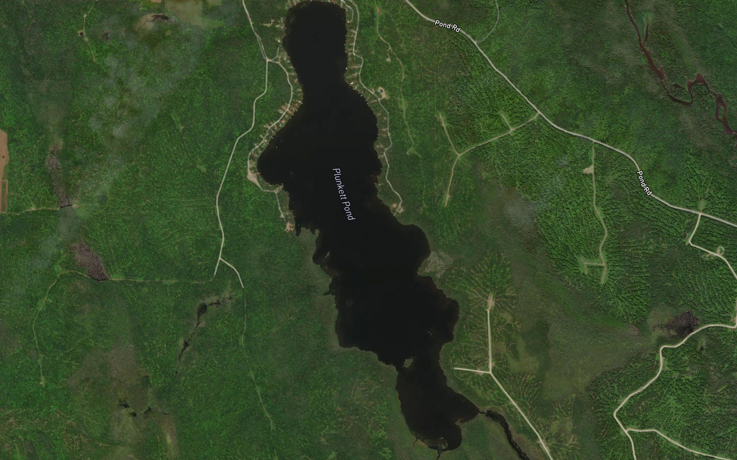 Plunkett Pond
