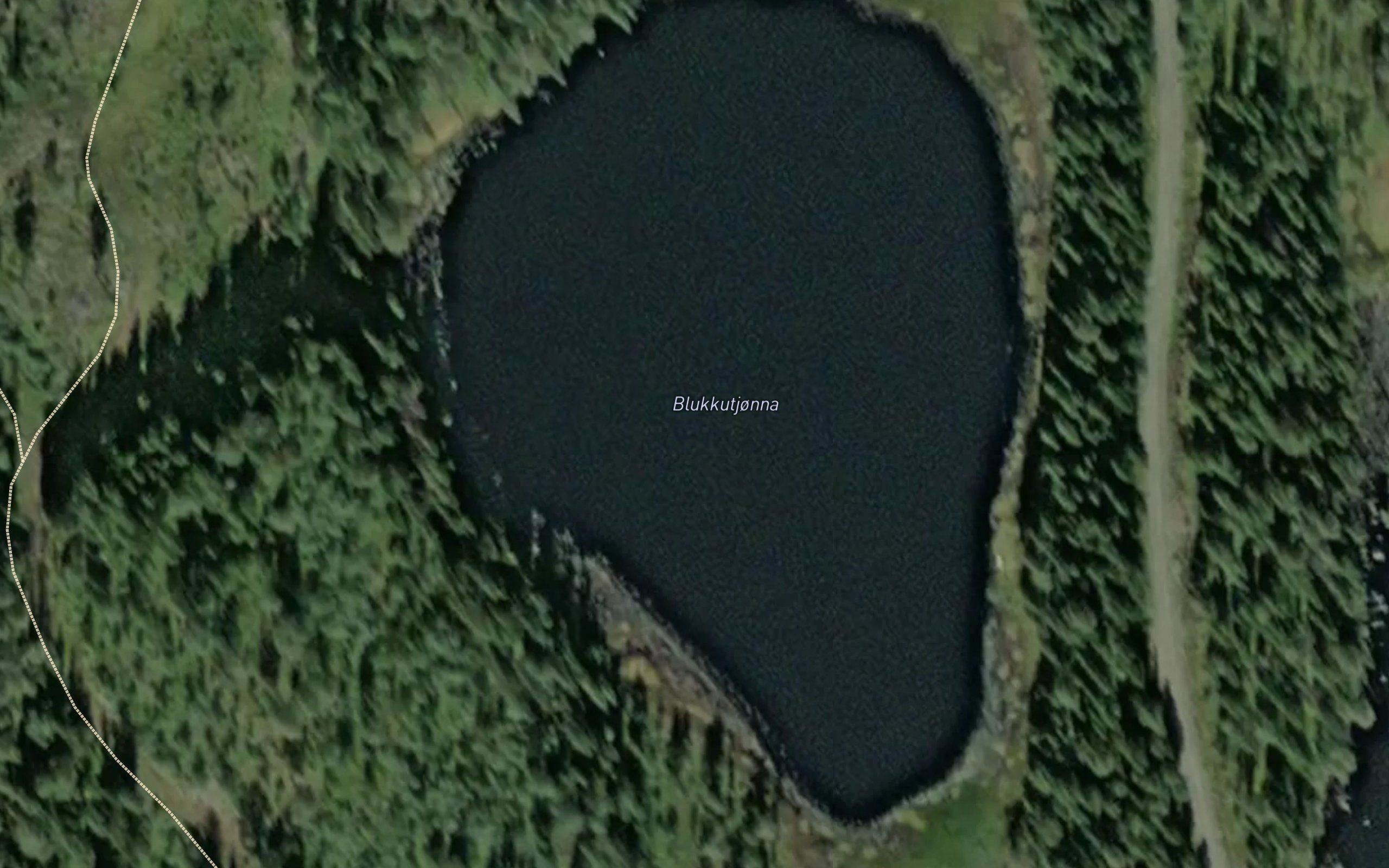 Blukkutjorna
