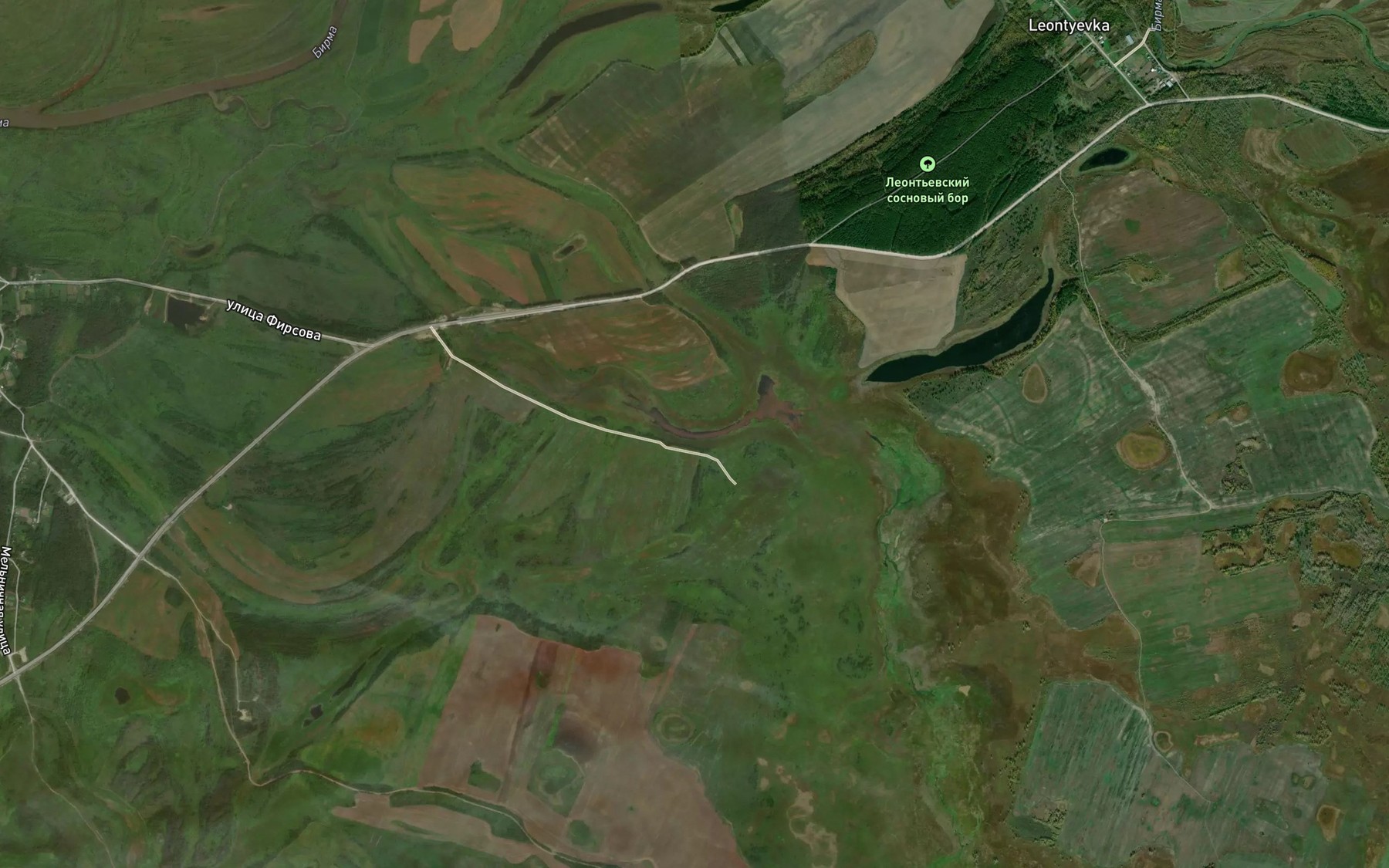 Satellite map of the Ozero Koshurnikova