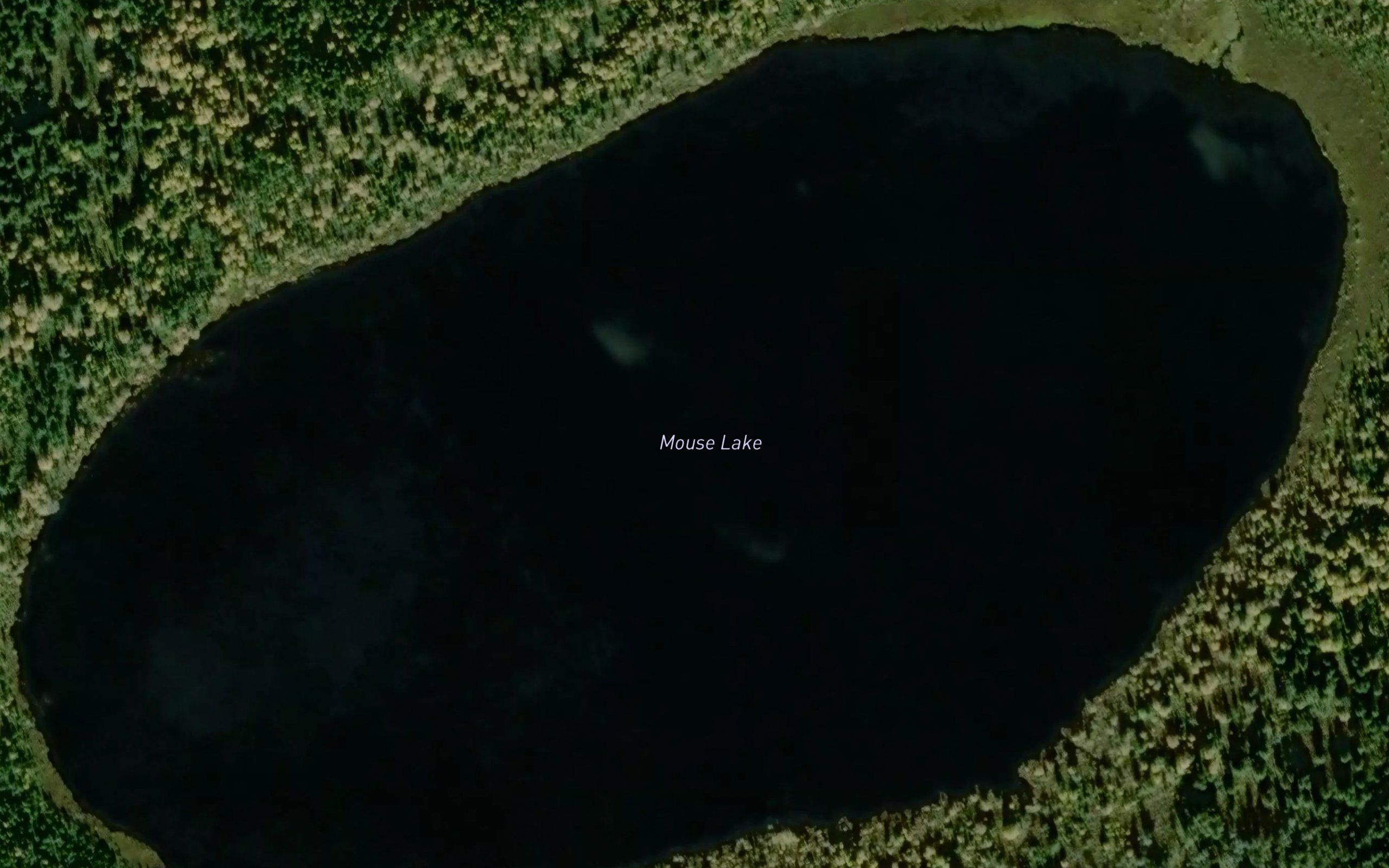 Mouse Lake