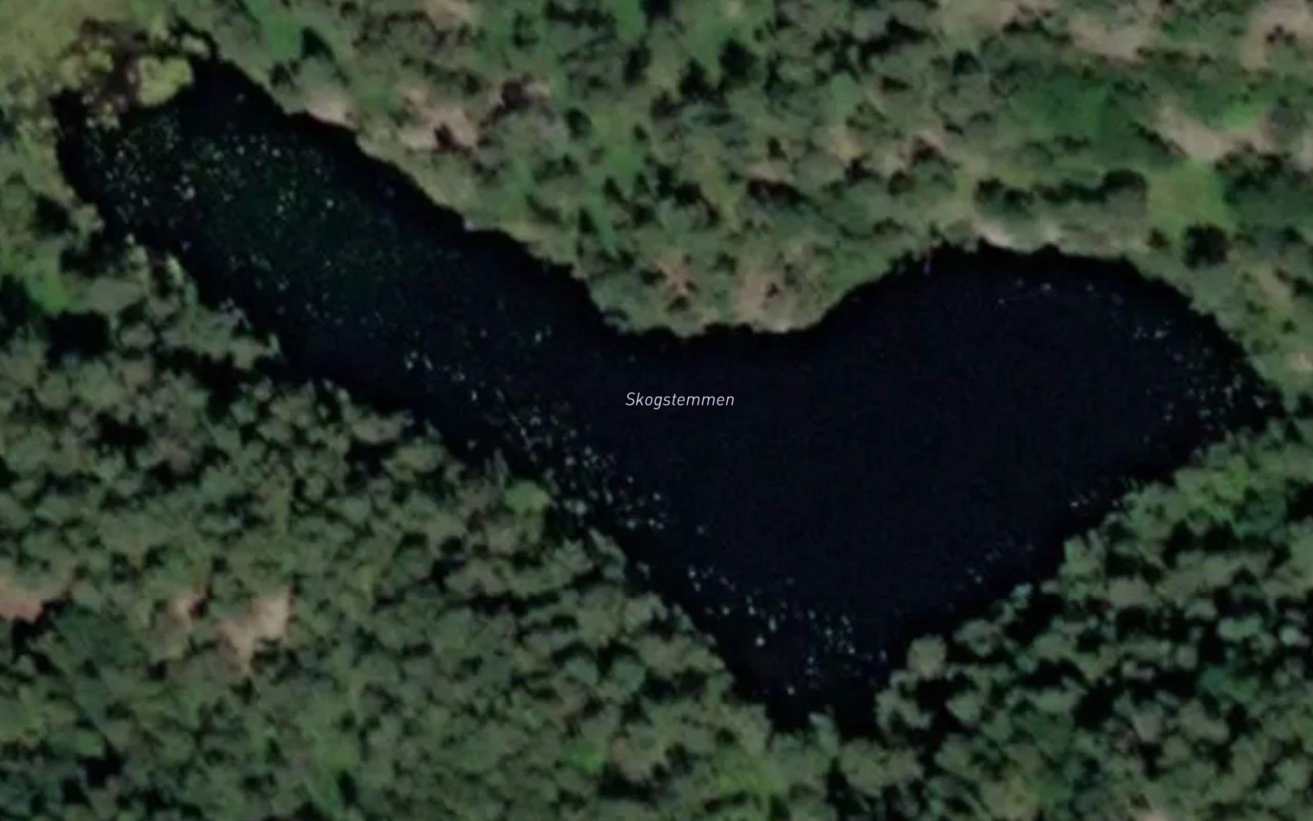 Skogstemmen