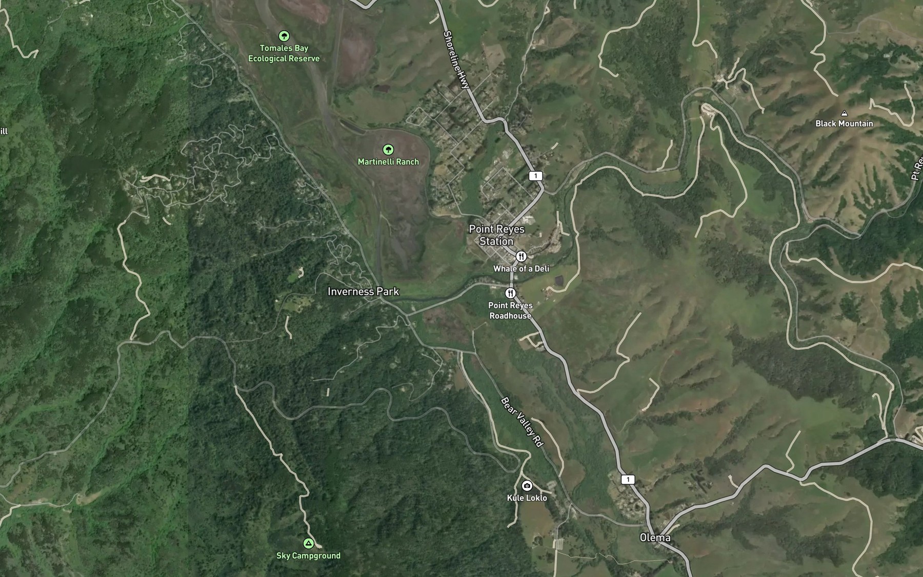Satellite map of the Olema Creek