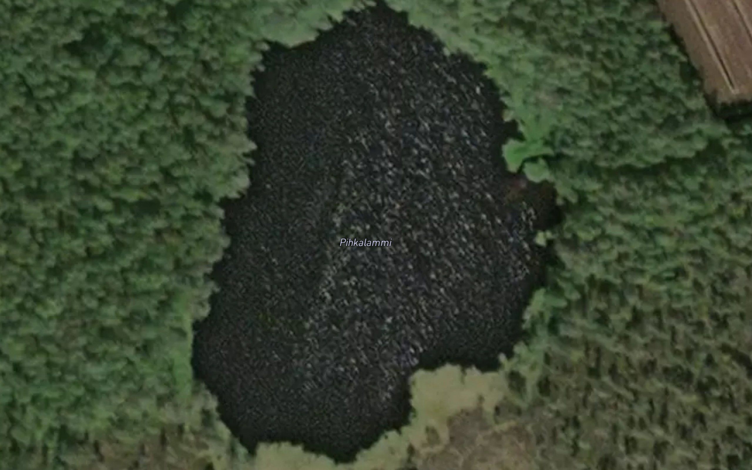 Pihkalammi