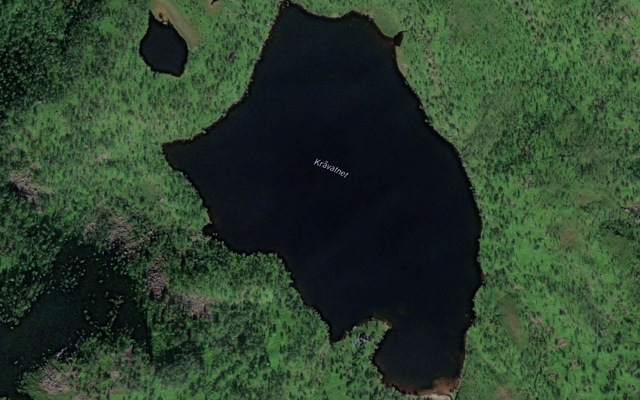 Kravatnet