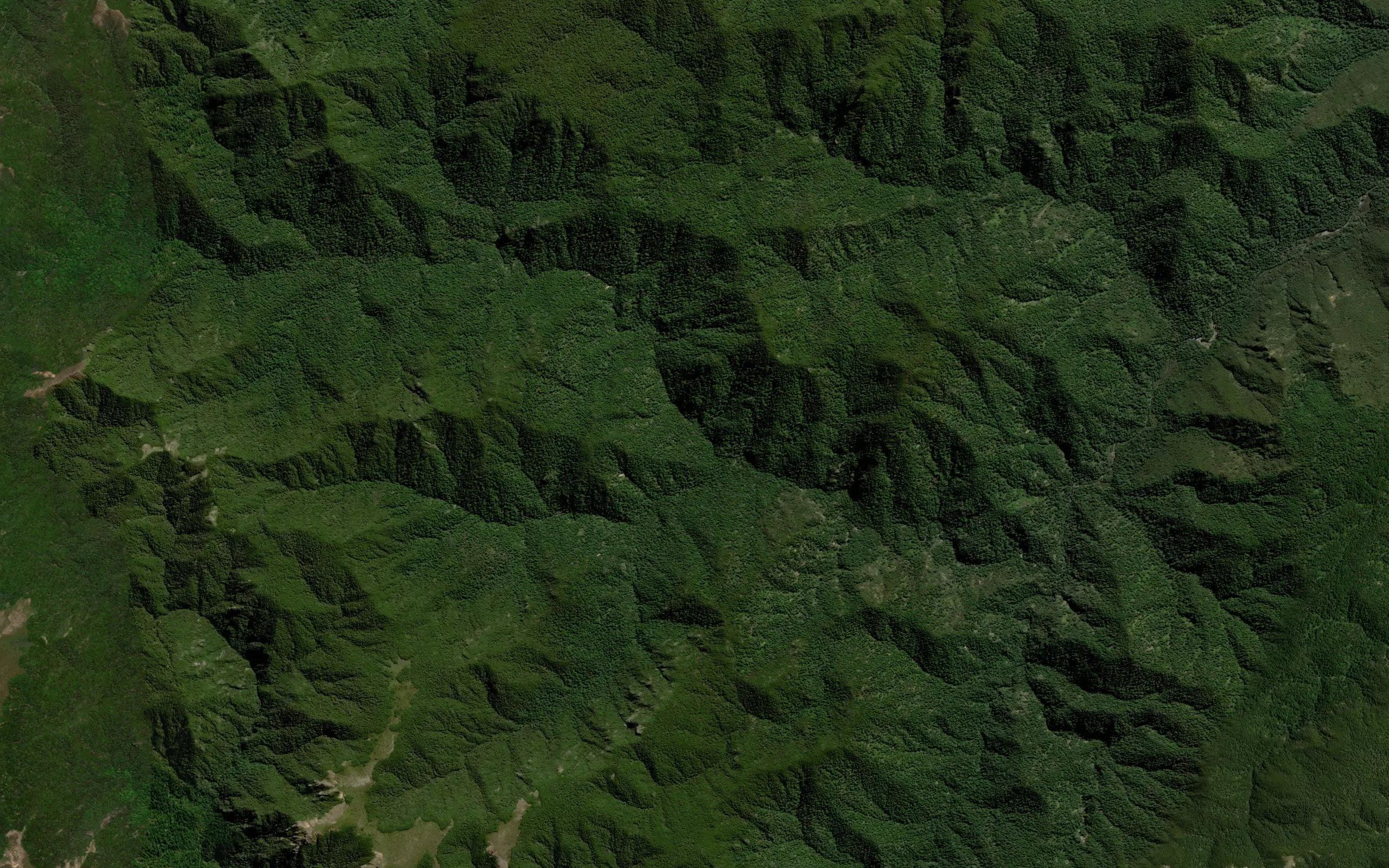 Mangaturutu Stream