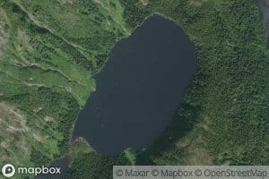 Martin Lake