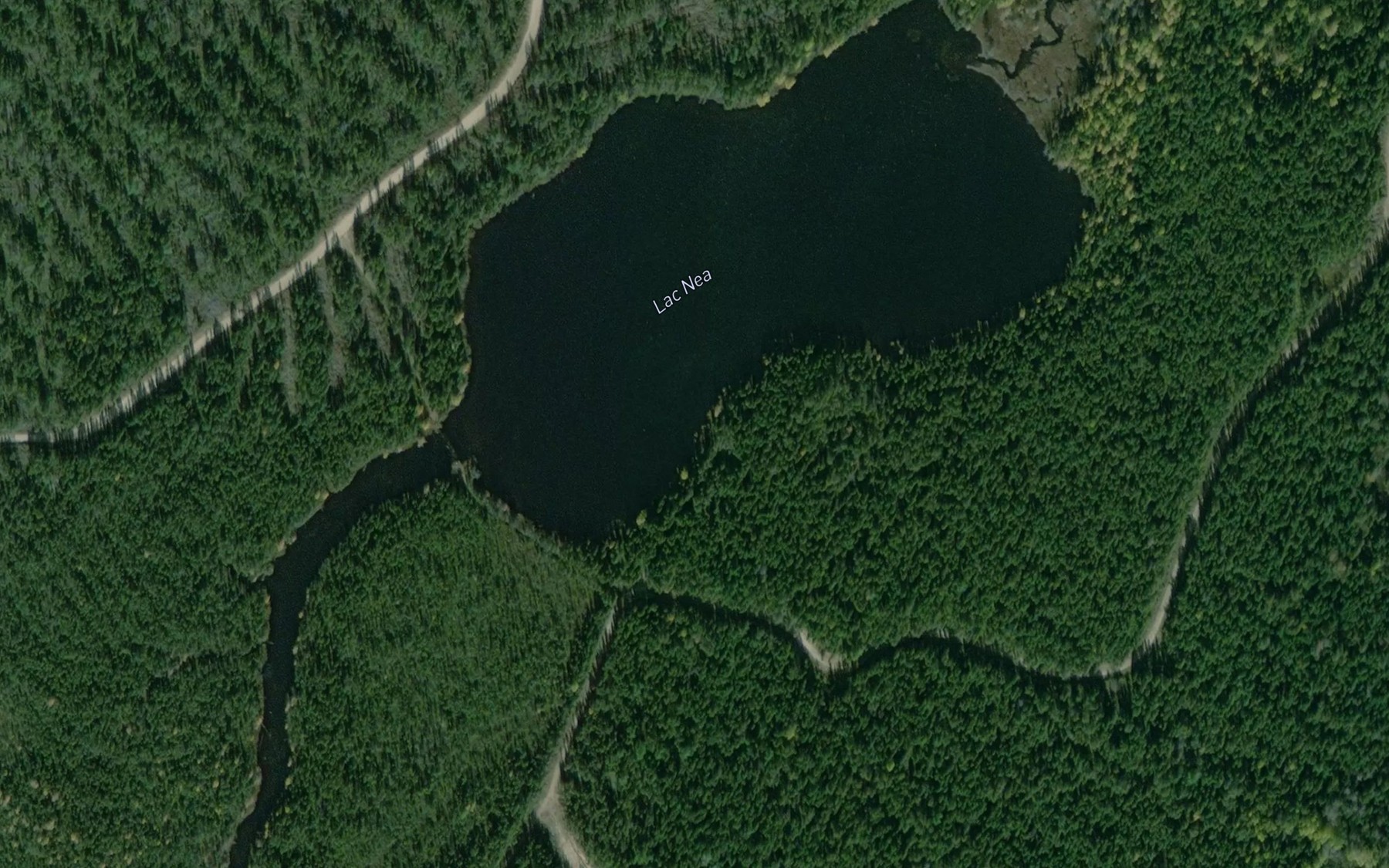 Satellite map of the Lac Nea