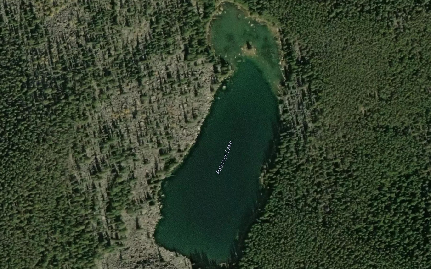 Satellite map of the Peterson Lake