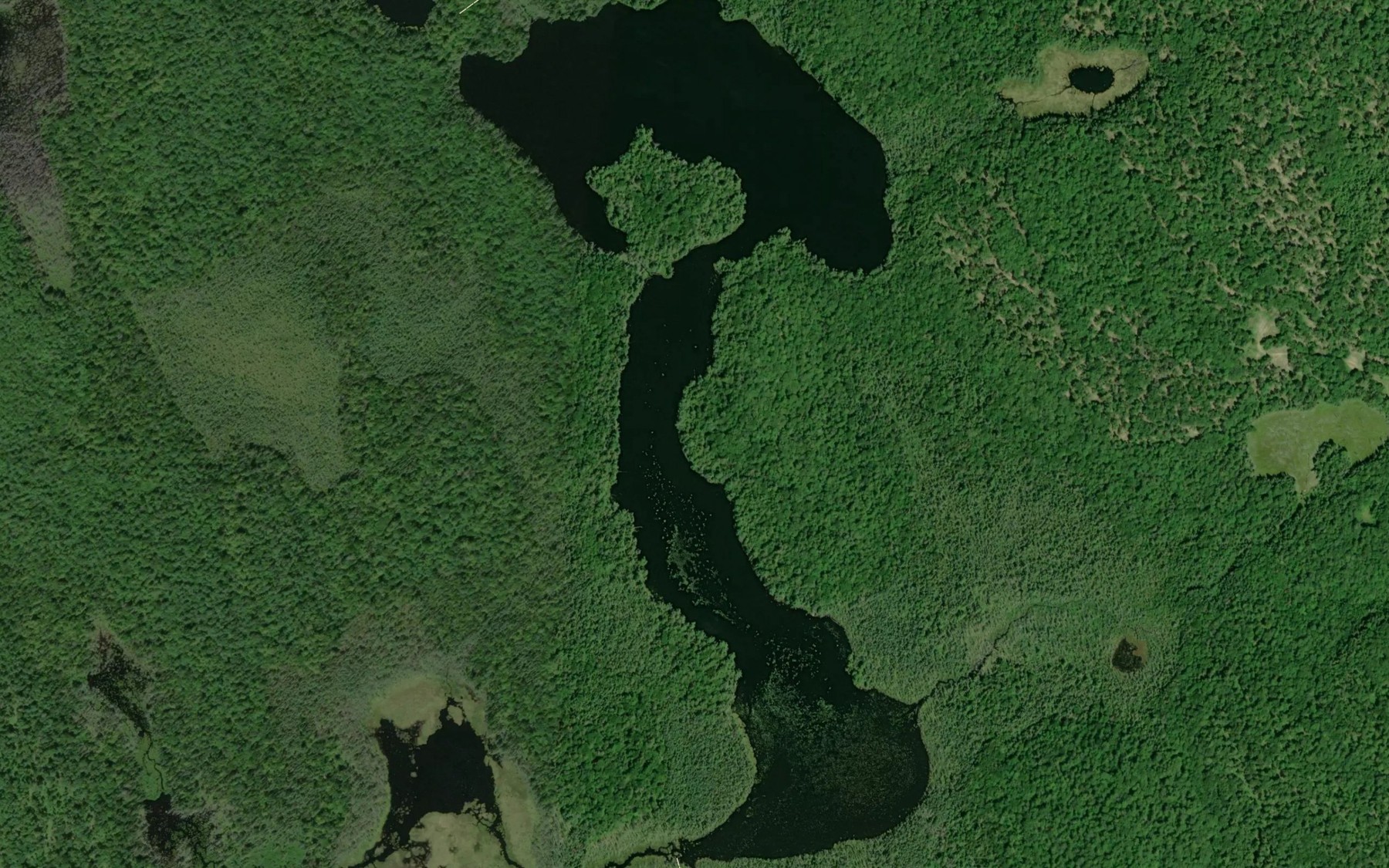 Satellite map of the Bridge Lake