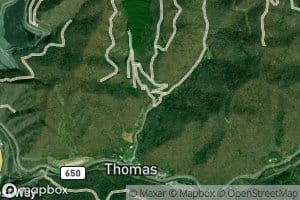 Left Branch Nanny Branch